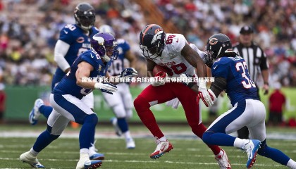 九游体育官方入口-国安董事长周金辉新春向球迷拜年 誓师回归亚冠精英赛