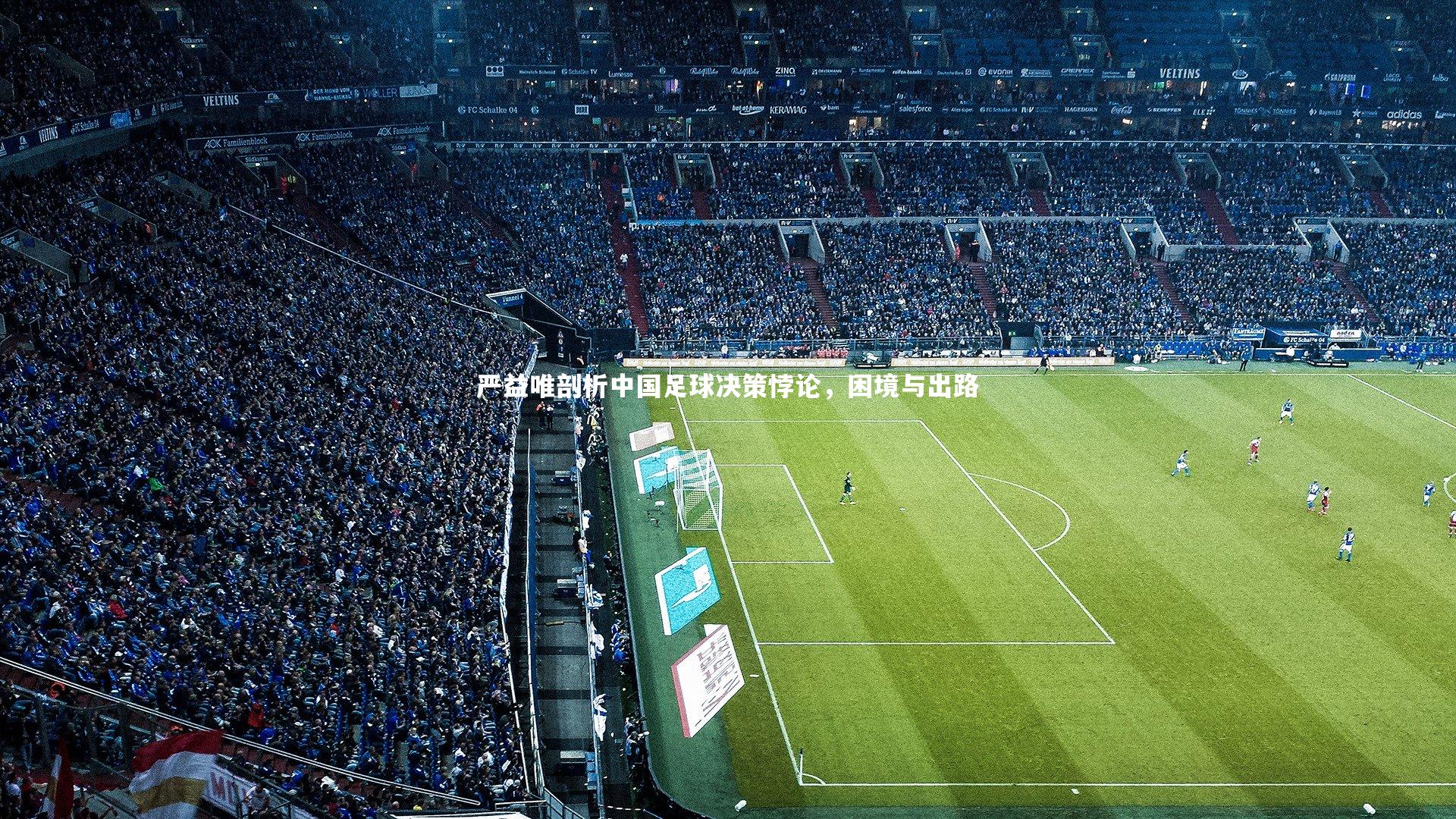 严益唯剖析中国足球决策悖论,困境与出路
